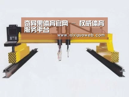 产品名称十九