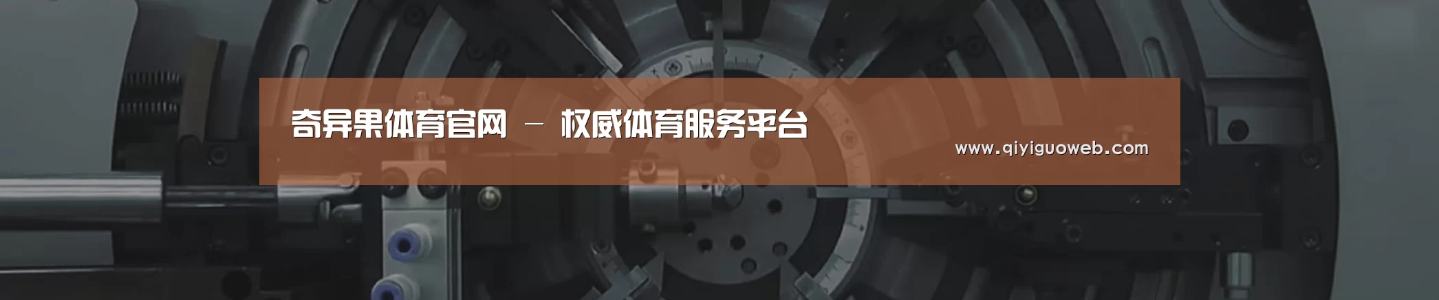 某某机械公司